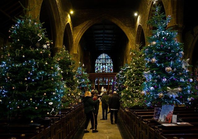 Opt For Artificial Christmas Trees
