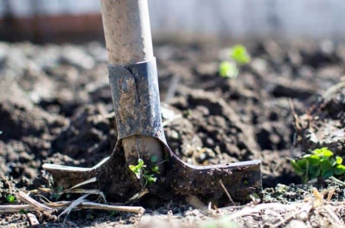 Building Your Garden Tool Kit